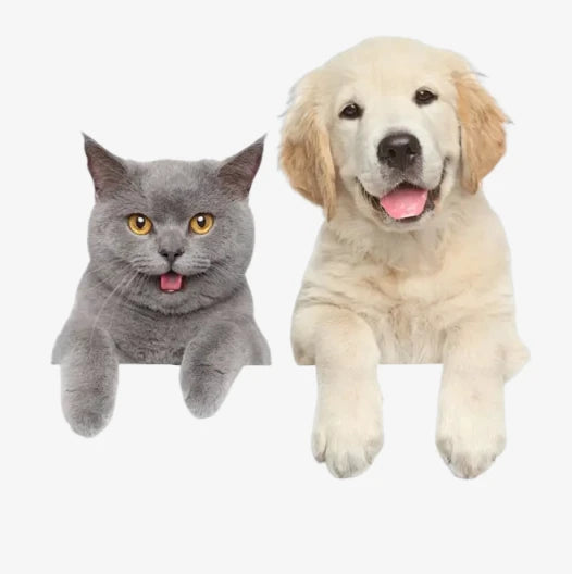 Pet Product