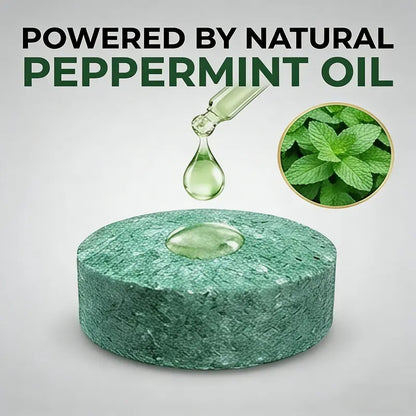 12-Pack Popular Natural Rodent Repellent Balls