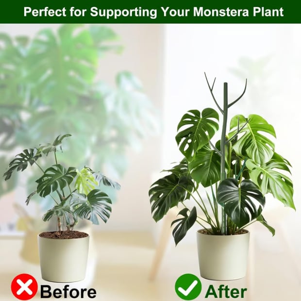 5 pack Plant Support Stakes