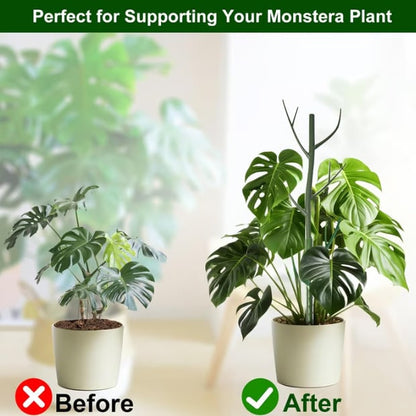 5 pack Plant Support Stakes