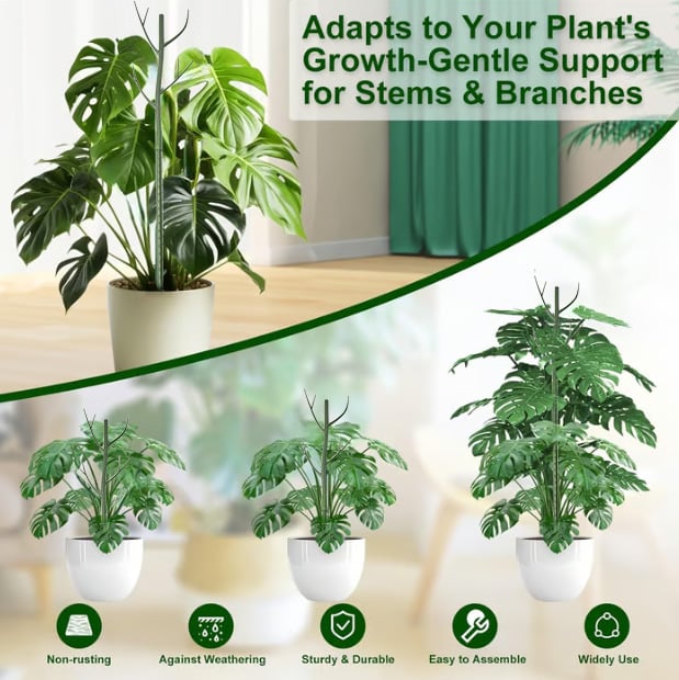 5 pack Plant Support Stakes