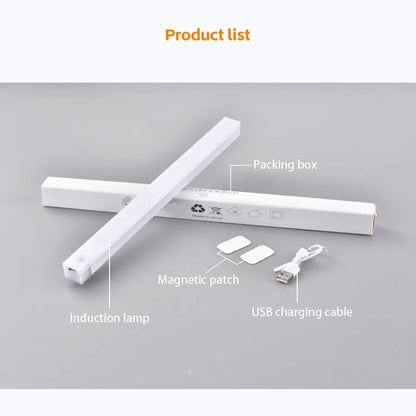 Motion Sensor LED Light