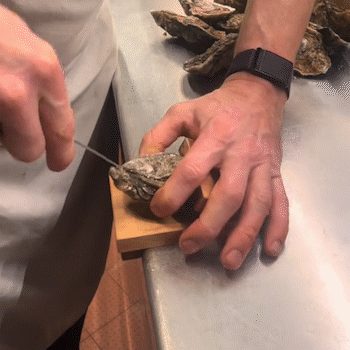 Oyster Shucking Clamp