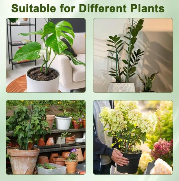 5 pack Plant Support Stakes